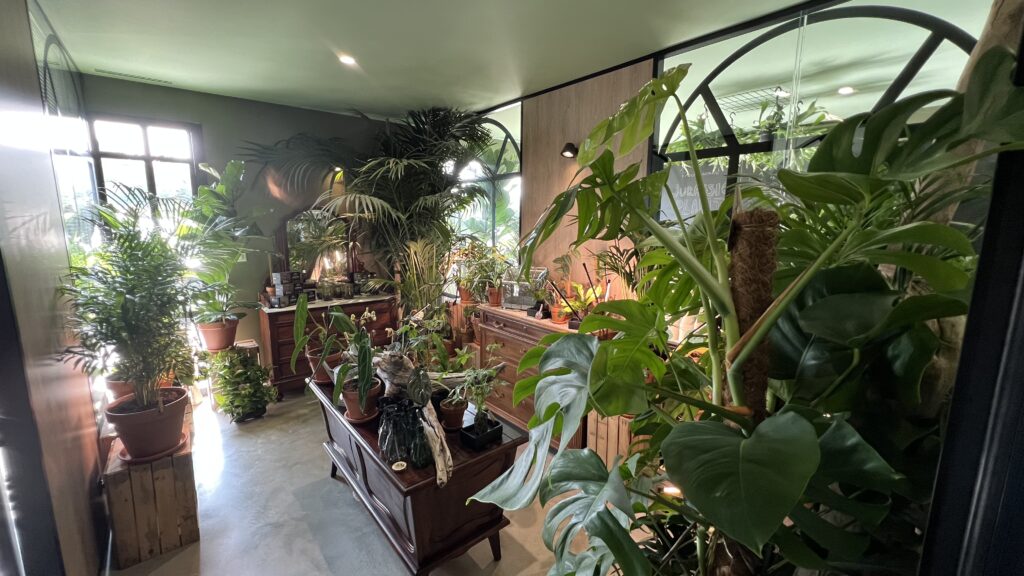 Arbres & co