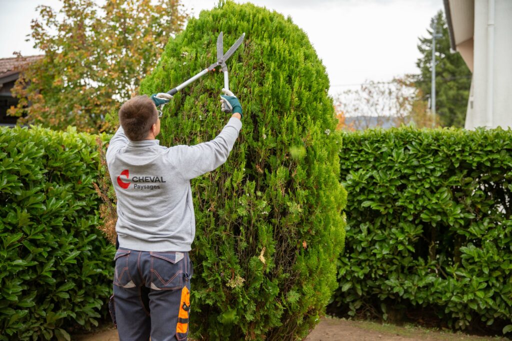 Préparer son jardin